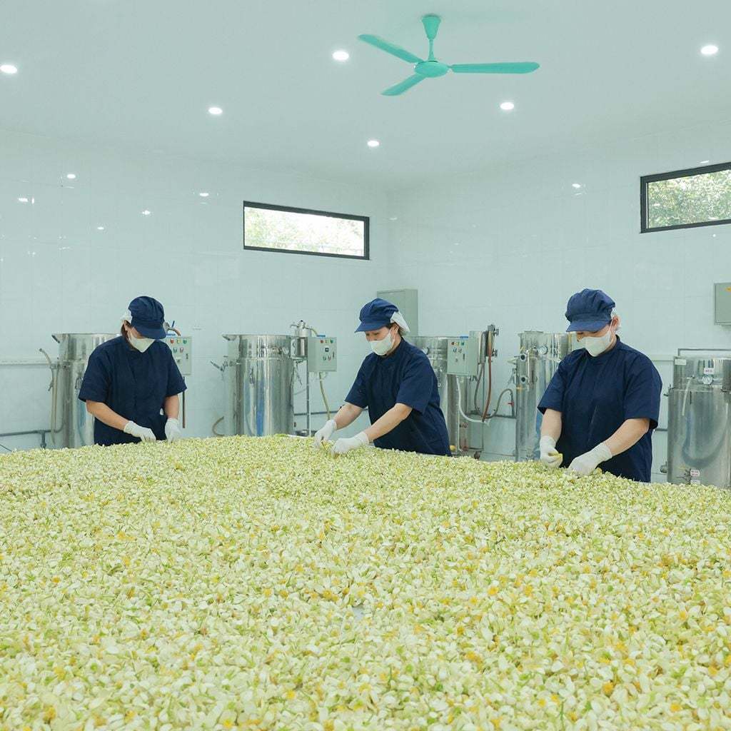 Tinh dầu hoa bưởi 100% nguyên chất