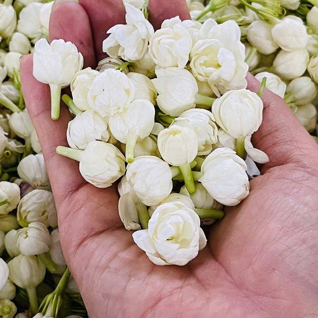 Nước cất hoa nhài Karose Jasmely 100ml