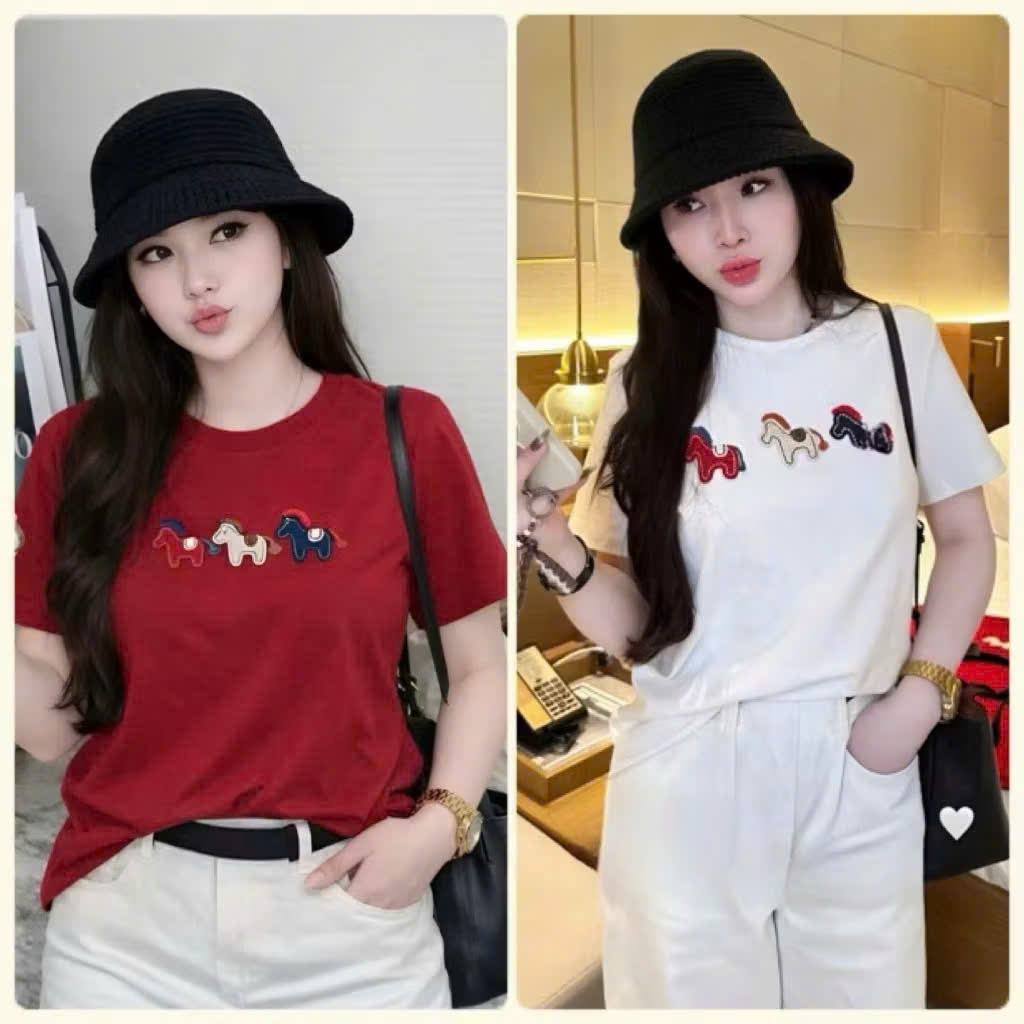 Áo Phông Nữ , Áo phông cotton đính 3 con ngựa dệt nổi CHẤT LIỆU COTTON MỀM MỊN HOT 2026. Minh Ngọc Sport