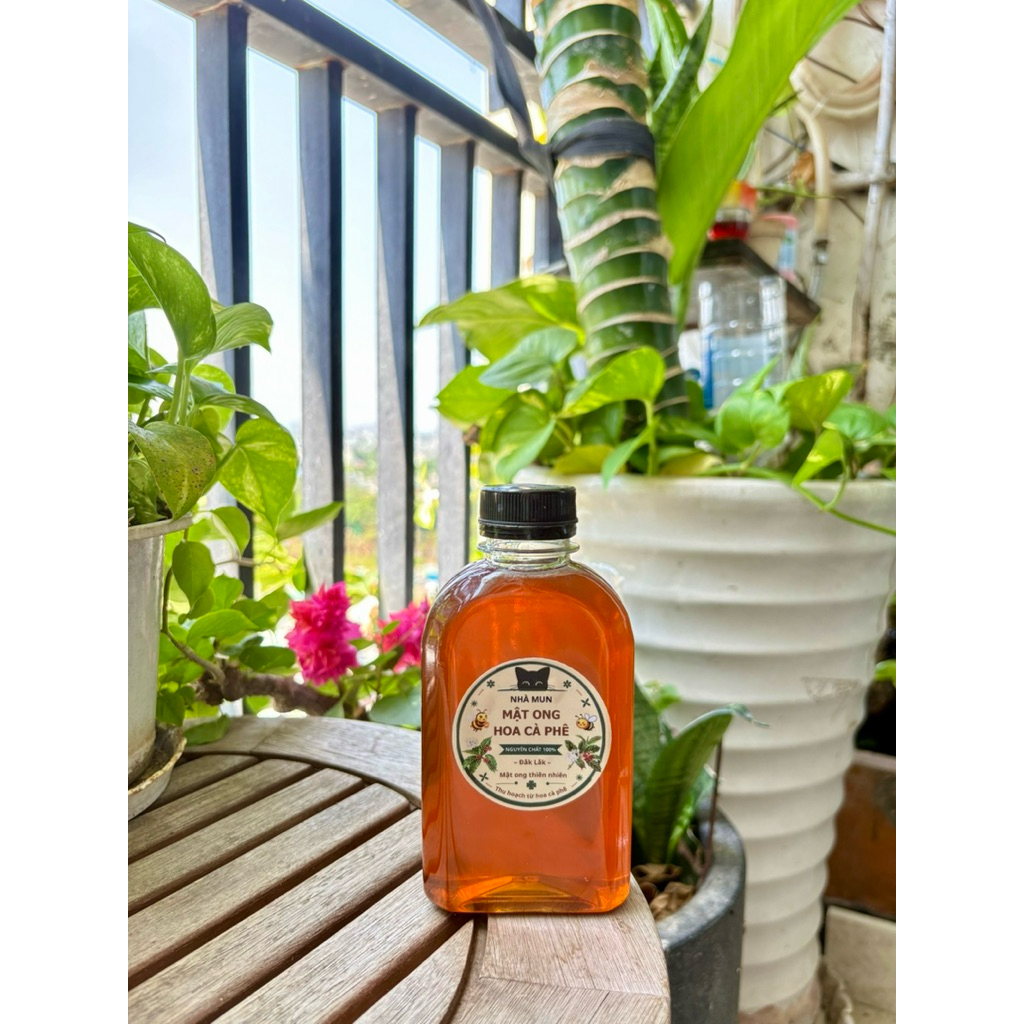 Mật ong hoa cà phê nguyên chất Đắk Lắk 250ml – mật ong thiên nhiên, ngọt thanh, dễ dùng mỗi ngày | MM03