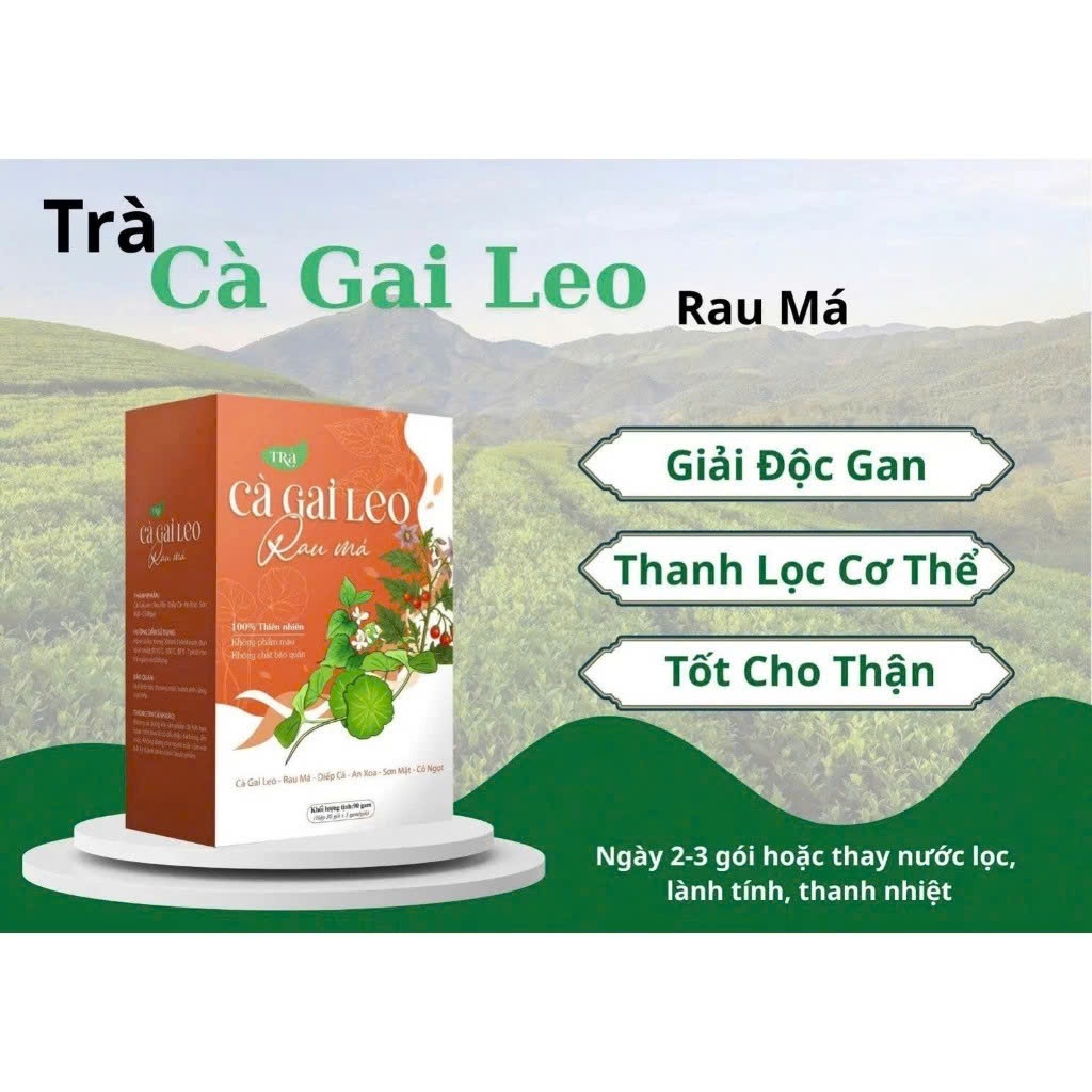 ✅ [Chính Hãng] Trà Cà Gai Leo Rau Má Hộp 30 Gói ✅ Trà mát gan thanh nhiệt giải độc gan đẹp da tăng cường sức đề kháng