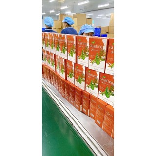 Trà Cà Gai Leo Rau Má Chính Hãng Cao Cấp Hộp 30 Gói ✅ Trà mát gan thanh nhiệt giải độc gan đẹp da tăng cường sức khỏe
