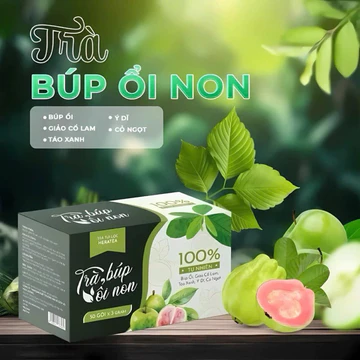 Trà Búp Ổi Non Thiên An Hộp 50 Túi Giúp Giảm Cân, Trà Lá Ổi Cải Thiện Tiêu Hóa, Ổn Định Đường Huyết