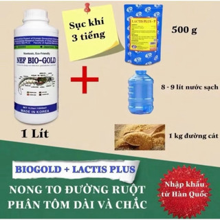 Bộ đôi BIOGOLD + LACTIS - Hỗ trợ bổ sung vi sinh cho tôm , nâng cao hệ tiêu hóa cho tôm, giúp nông to đường ruột