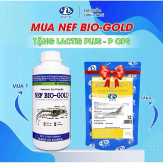 Bộ đôi BIOGOLD + LACTIS - Hỗ trợ bổ sung vi sinh cho tôm , nâng cao hệ tiêu hóa cho tôm, giúp nông to đường ruột