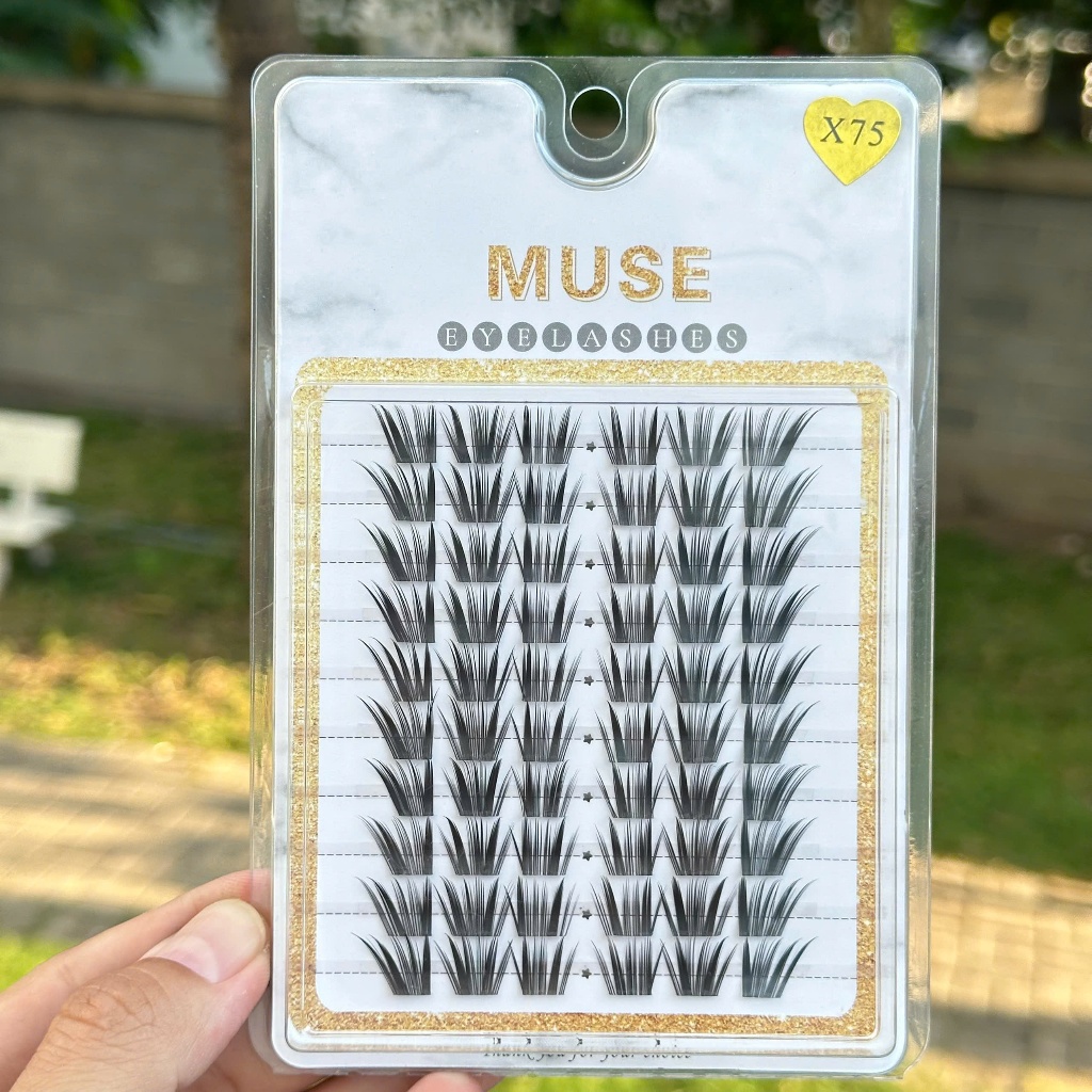 Top Mi Rời Muse, Mi cụm 10 hàng, Lông Mi Giả Cụm Cao Cấp (Full mã) - Lashes Bling