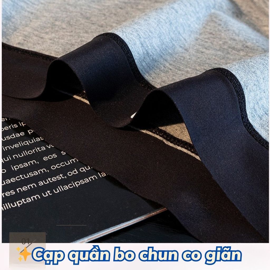 Quần lót đùi nữ cotton cao cấp dáng boxer cạp vừa ôm mông tôn dáng gợi cảm kiểu basic LANIXA L5284