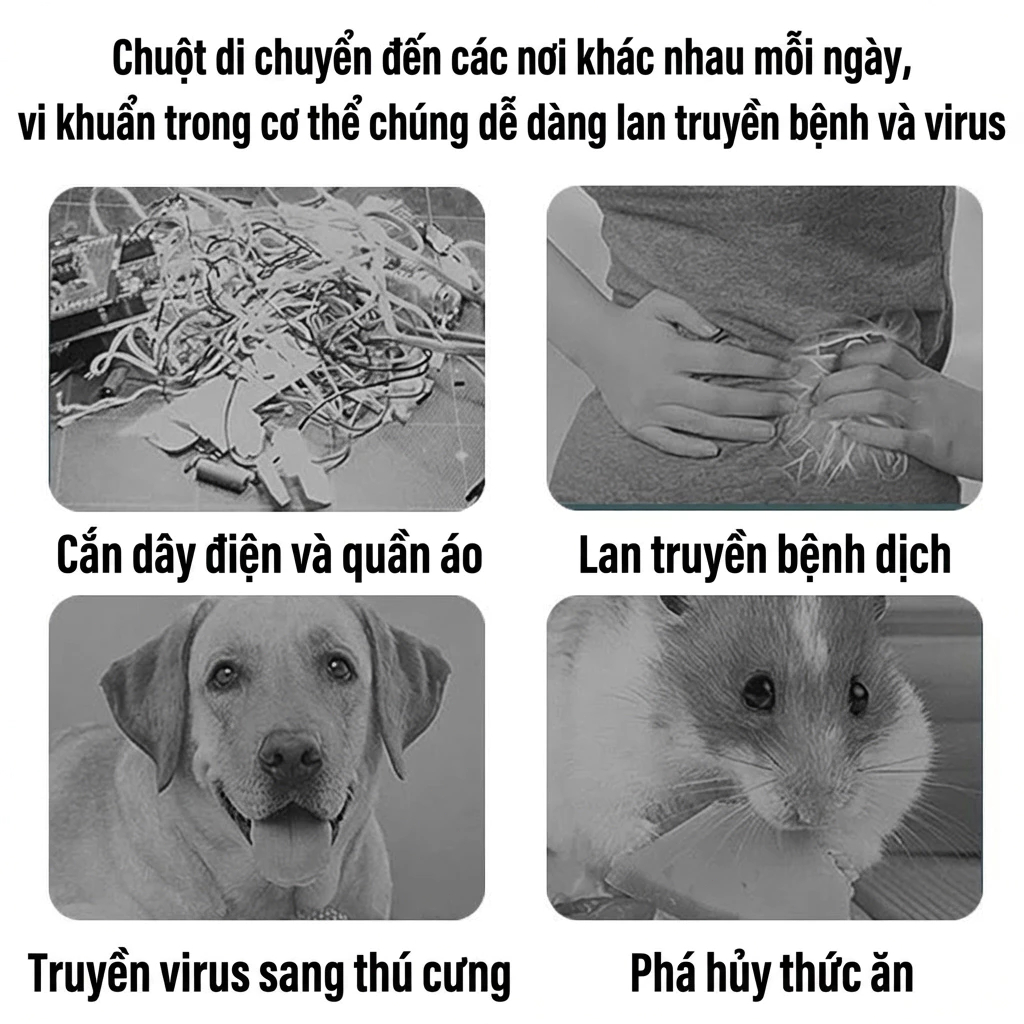 🐀 Viên xua đuổi chuột – Đuổi chuột nhanh chóng, hiệu quả, an toàn, không độc hại, dùng cho nhà, văn phòng, ô tô 🏠