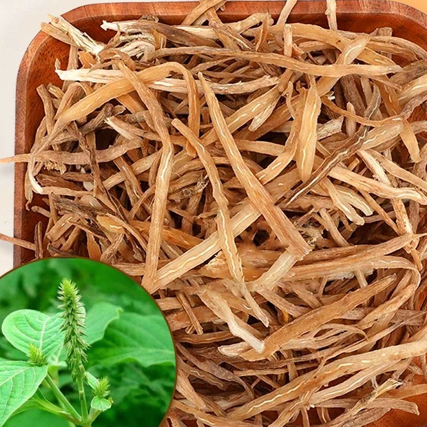 Ngưu tất bắc khô thượng hạng JINDO 1kg tốt cho sức khỏe