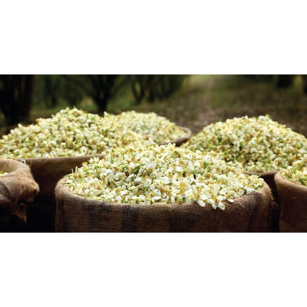 NƯỚC CẤT HOA BƯỞI HỮU CƠ - 500ML