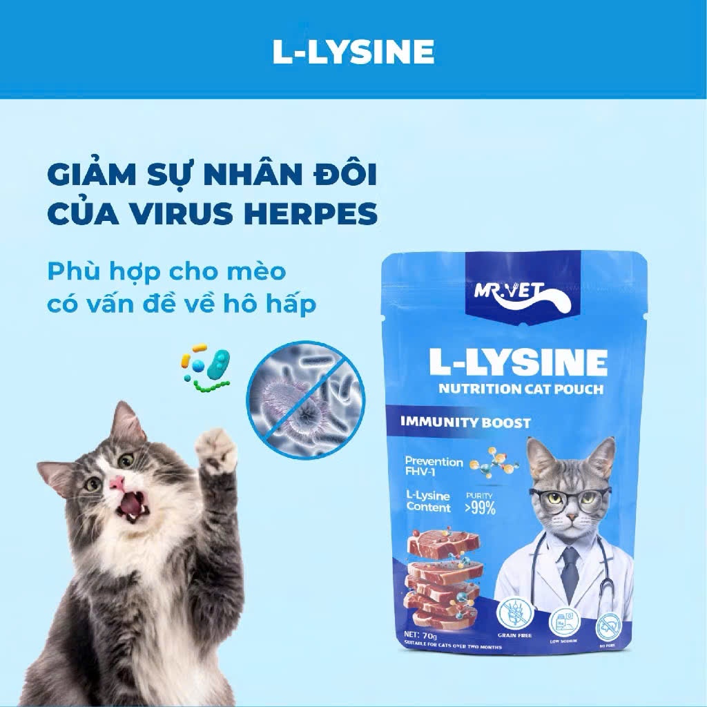 Pate Mèo MR.VET 70G – Thức Ăn Ướt Cho Mèo, Nhiều Thịt, Mềm Dễ Ăn, Hỗ Trợ Tiêu Hóa,Cho Mèo Từ 2 Tháng