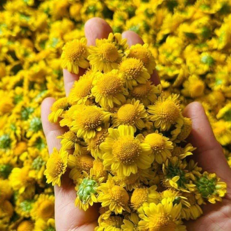 SÁP HOA CÚC KAROSE CHAMOMILE 110G