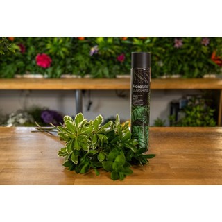 [CHÍNH HÃNG MỸ] Xịt Bóng Lá Floralife Leafshine 750ml – Giúp Lá Bóng Đẹp Tự Nhiên, Dưỡng Lá Lâu Phai