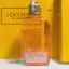 Gel Tắm Hương Hoa L'Occitane Cherry Blossom Bath & Shower Gel 250ml / Body Milk Lotion / Shea Ultra Rich Body Lotion