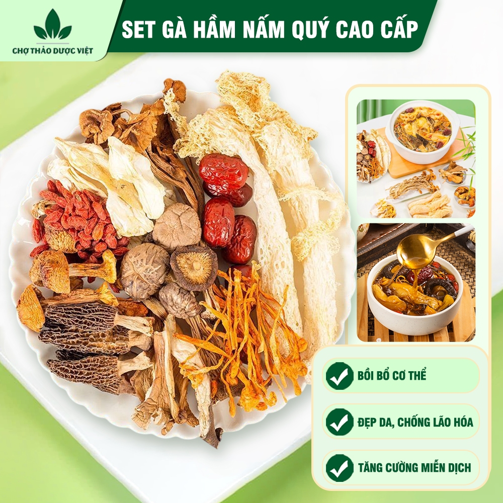 Set gà hầm nấm quý, nguyên liệu nấu gà tần, chim câu, lẩu nấm thơm ngon bổ dưỡng - Chợ Thảo Dược Việt