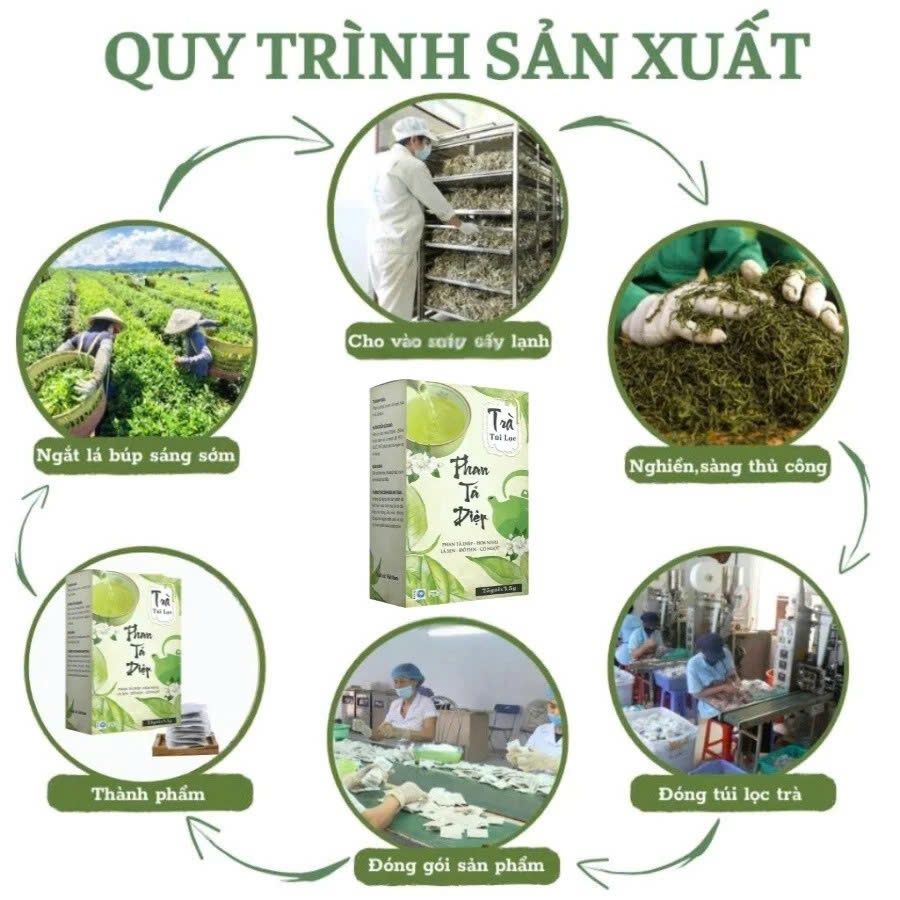 ✅ [Chính Hãng] Trà Phan Tả Diệp Hộp 25 Gói ✅ Trà giảm cân giảm béo nhanh nhuận tràng hết táo bón thanh nhiệt giải độc