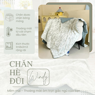 Chăn hè chần bông Cotton Đũi Windy M2T BEDDING kích thước 2mx2m3 - Mềm mại, Mịn màng
