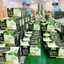 Trà giảm cân Búp Ổi Non Heratea Hộp 50 Gói ✅ Trà giảm béo tiêu mỡ thanh lọc cơ thể ngăn ngừa tiểu đường