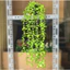 Cây rủ lá nhựa giả kèm chậu mô phỏng cúc tần cây cỏ vảy ốc lá cây xanh dây leo decor trang trí rất đẹ