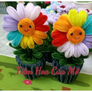 Chậu hoa kẽm nhung mặt cười 7 sắc