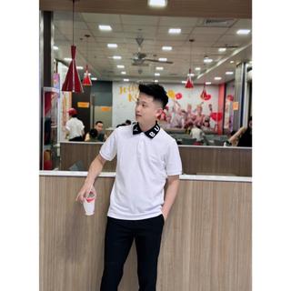Áo Thun Polo Nam Thêu Chữ Lớn Cổ Sang Trọng Chất Vải Co Dãn Dễ Phối Đồ Đi Chơi Đi Dạo.