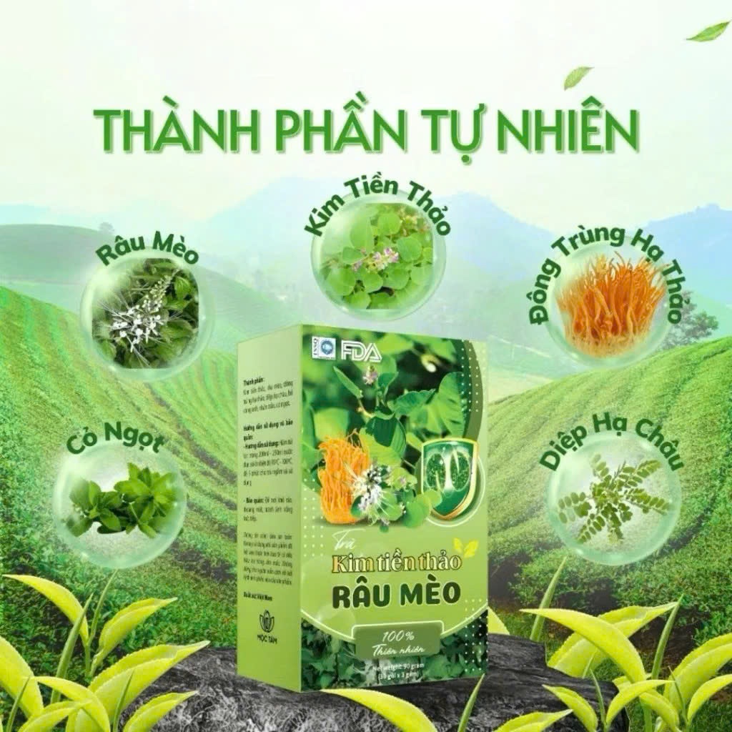 ✅ [Chính Hãng] Trà Kim Tiền Thảo Râu Mèo Hộp 30 Gói ✅ Bổ thận lợi tiểu thanh lọc cơ thể ngừa nguy cơ sỏi thận mát gan