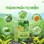 Trà Kim Tiền Thảo Râu Mèo Hộp 30 Gói ✅ Bổ thận lợi tiểu thanh lọc cơ thể ngừa nguy cơ sỏi thận mát gan