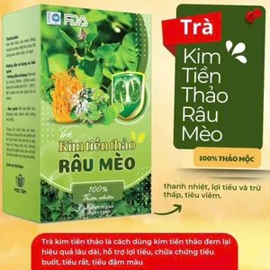 Trà Kim Tiền Thảo Râu Mèo Hộp 30 Gói ✅ Bổ thận lợi tiểu thanh lọc cơ thể ngừa nguy cơ sỏi thận mát gan