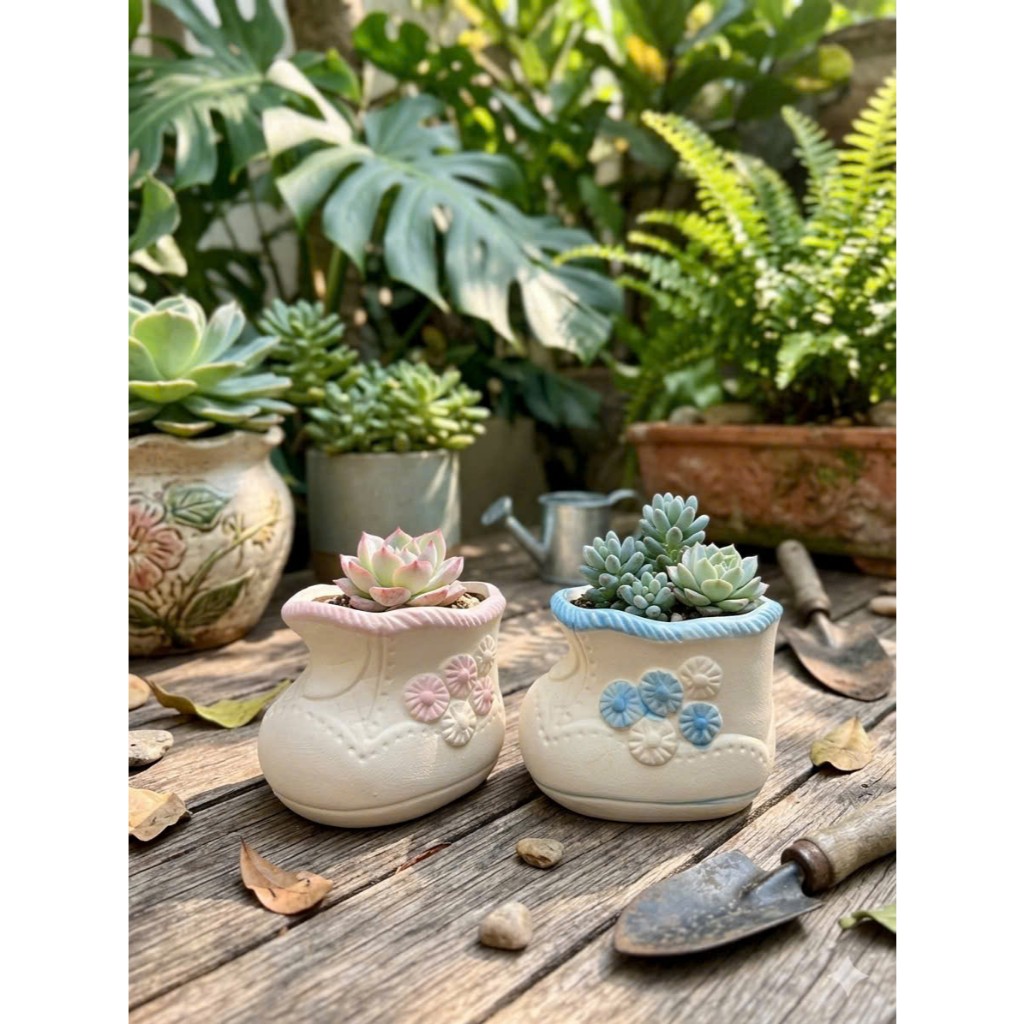 Chậu Trồng Sen Đá, Chậu Trồng Sen Đá Gốm Sứ Vintage, Chậu Cây Mini Decor Xinh Xắn