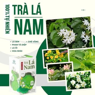 Trà Lá Nam 6 Vị Chính Hãng Cao Cấp Hộp 30 Gói ✅ Trà giảm cân phan tả diệp lá ổi lá sen giữ dáng đẹp da thanh lọc cơ thể