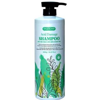 Dầu gội thảo dược mềm mượt sạch gàu Ecolove Natural Peppermint Shampoo 1000ml