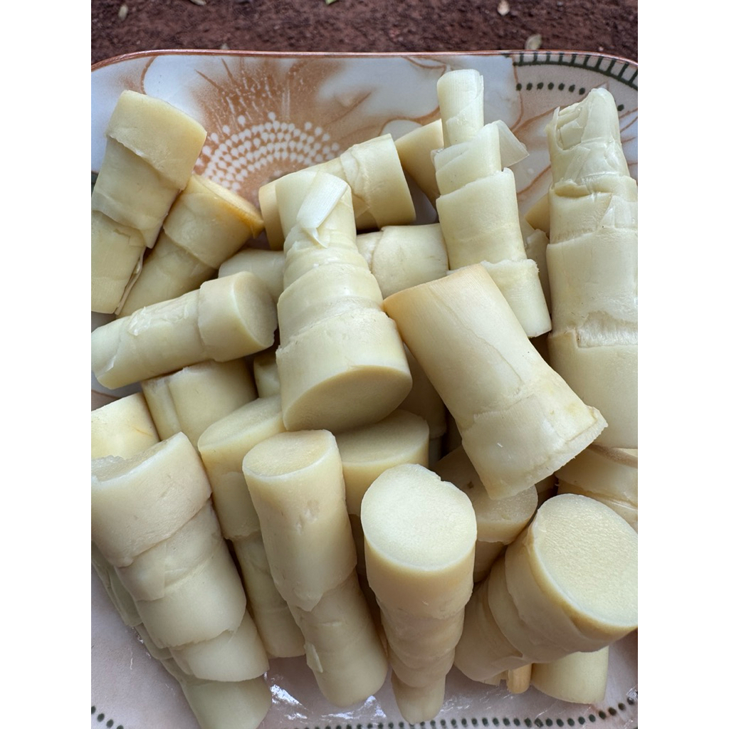 1kg Đọt măng le rừng luộc - hút chân không