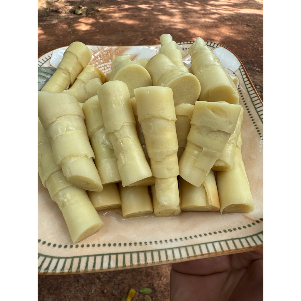1kg Đọt măng le rừng luộc - hút chân không