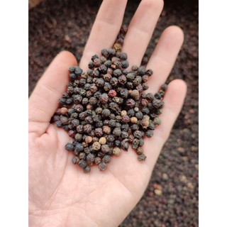 500gr Hạt Tiêu chín cây, tiêu rang thơm cay nồng Tiêu Đăk Lăk PT