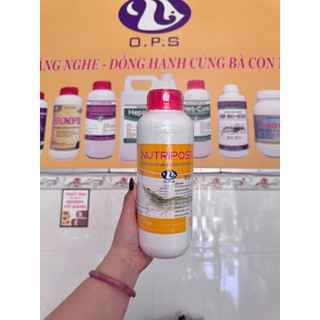 Nutripost - Hỗ trợ tôn sinh trưởng tốt, bổ sung vitamin cần thiết cho tôm