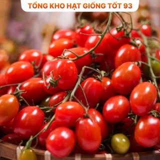 Hạt giống Cà chua Bi Đỏ F1 hàng công ty Loại 1