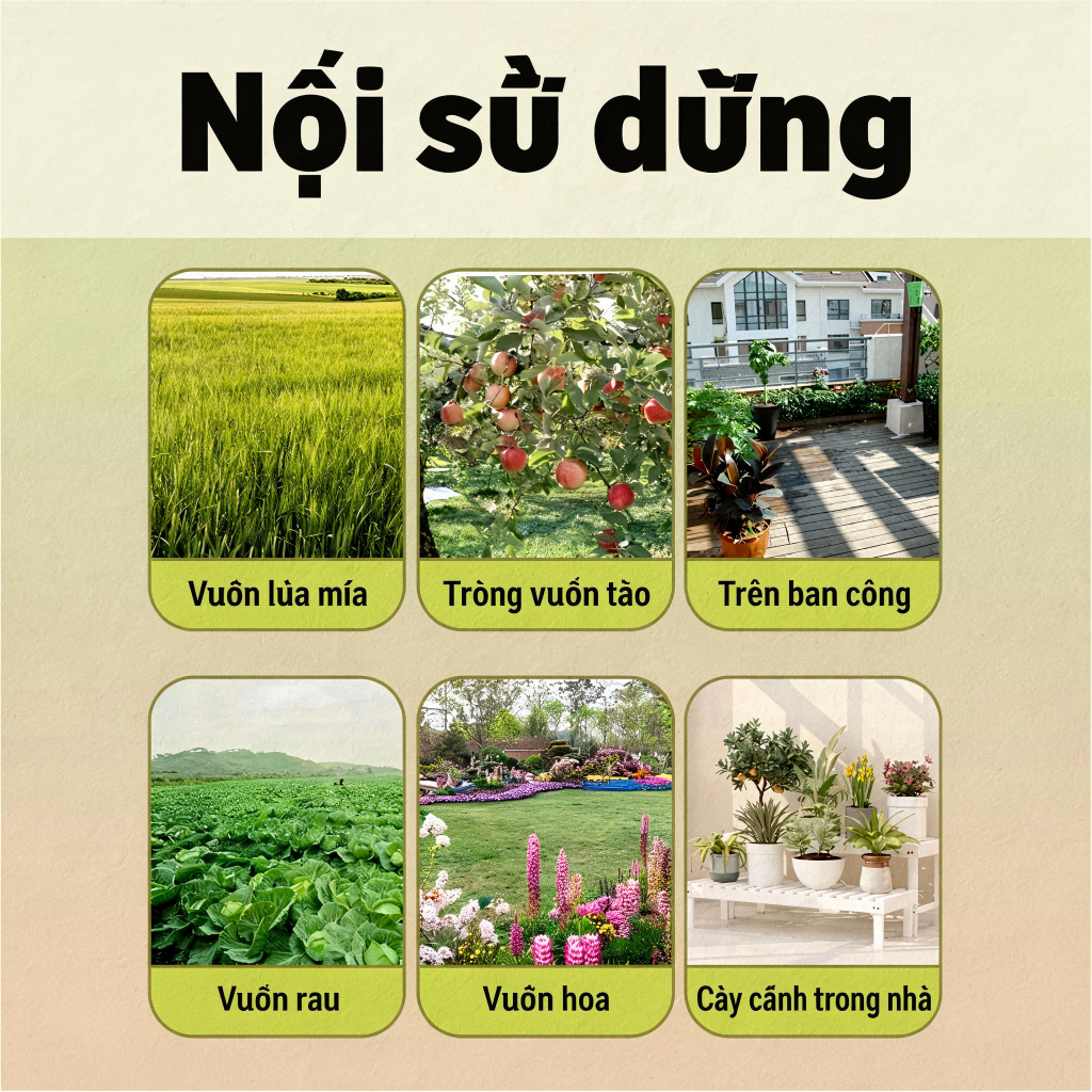 Dùng là hiệu quả, xua đuổi chim.  Viên đuổi chim Chim không dám lại gần, yên tĩnh hơn.