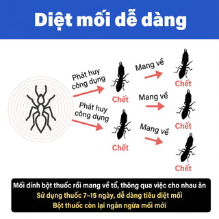 🐜 10 năm ngôi nhà an toàn 🐜 bột diệt mối  thuốc diệt mối PHÁ HỦY TỔ MẠNH MẼ