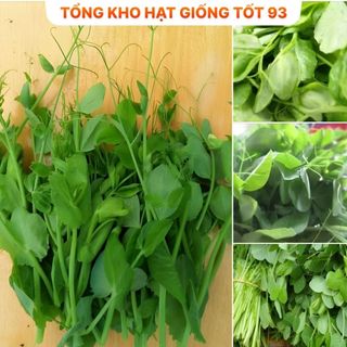 Hạt giống đậu hà lan siêu ngọn (ăn ngọn) gói to cho nhà vườn 500gr Hàng công ty Loại 1