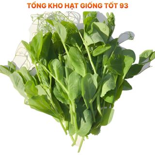 Hạt giống đậu hà lan siêu ngọn (ăn ngọn) gói to cho nhà vườn 500gr Hàng công ty Loại 1
