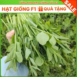 Hạt giống đậu hà lan siêu ngọn (ăn ngọn) gói to cho nhà vườn 500gr Hàng công ty Loại 1