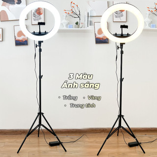 Đèn tròn Livestream LED 45cm, Đèn livestream 3 màu chuyên dụng dành cho phun xăm, nối mi, makeup