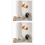 Quạt kẹp bàn mini quạt êm, gió mát gồm 5/ 6/ 8 cánh.