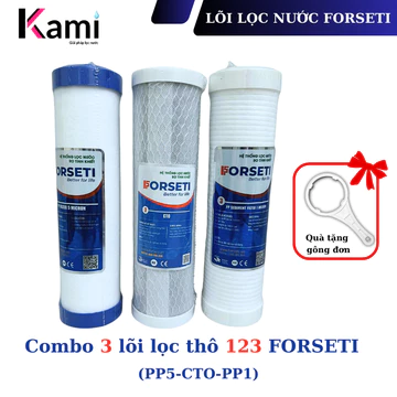 Bộ 3 lõi lọc nước thô Forseti 10 inch chính hãng Lõi 2 là than hoạt tính dạng nén (CTO)