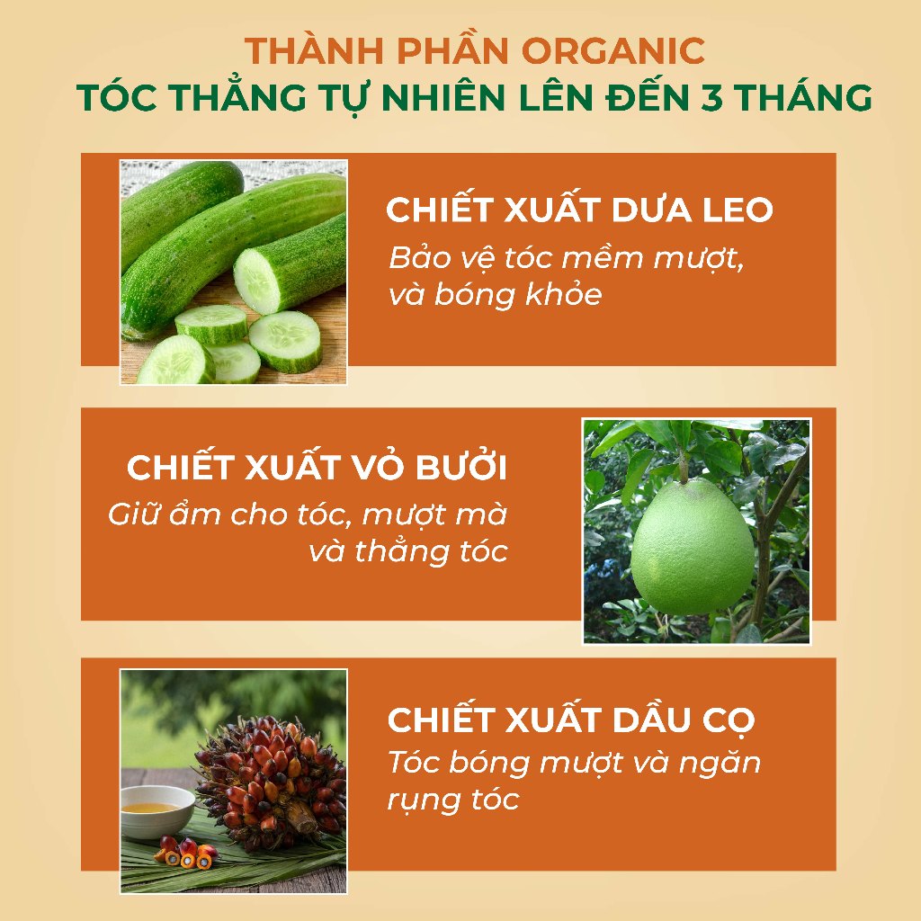 Thuốc duỗi tóc tại nhà kem ép duỗi tóc tại nhà bảo vệ không tổn thương tóc Bellena Hair Straightening Cream 250ml