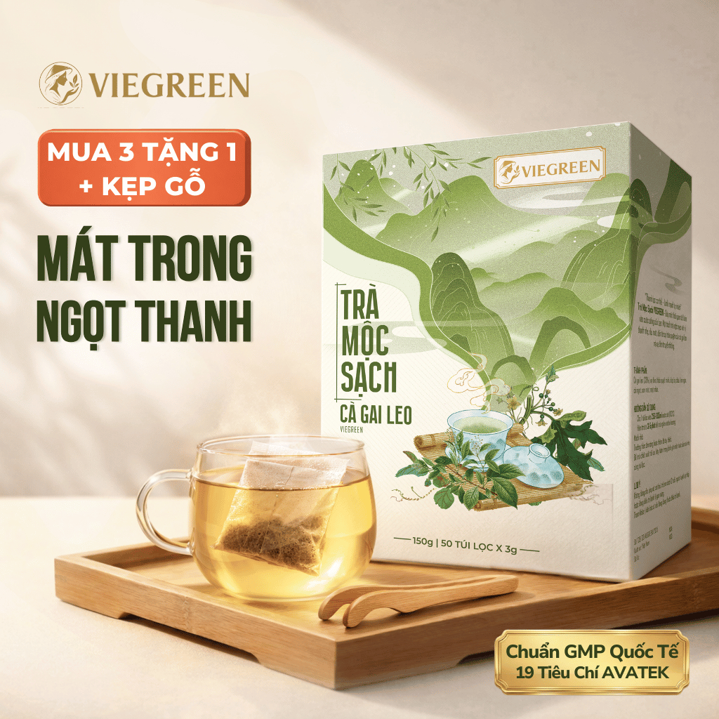 Trà Túi Lọc Cà Gai Leo VIEGREEN (Hộp 50 Túi) - Thảo Mộc Thanh Nhiệt, Thanh Lọc Cơ Thể, Mát Lành
