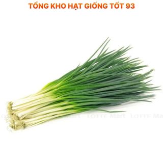 Hạt giống Hành Hương  năng suất cao hàng công ty Loại 1