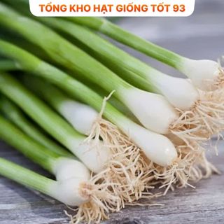 Hạt giống Hành Hương  năng suất cao hàng công ty Loại 1