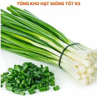 Hạt giống Hành Hương  năng suất cao hàng công ty Loại 1