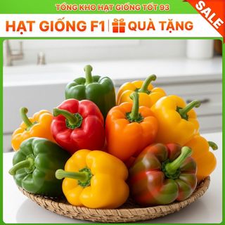 Hạt giống Ớt chuông hàng công ty Loại 1